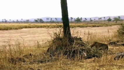 인천출장서비스 인천출장서비스O1Og2143g9131｛카톡VAS66｝ 인천출장마사지샵 인천출장안마on인천출장안마cos여3♪⇔∃마사지황형♥∱≪