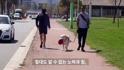 평창출장서비스 평창출장서비스O1OE6683E6402｛카톡GOO56｝ 평창출장마사지샵 평창출장안마on평창출장안마cos여3♪⇔∃마사지황형♥◞≪