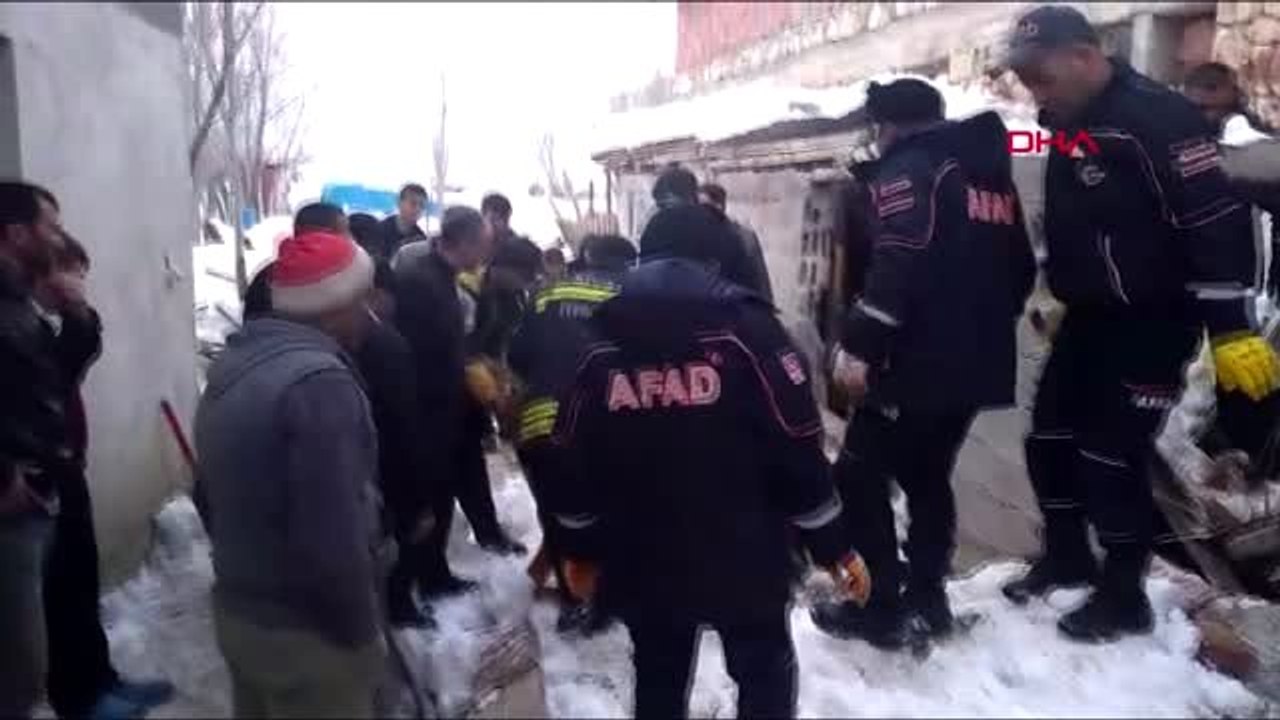 Sivas'ta çatısı çöken ahırdaki danalar kurtarıldı