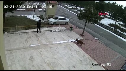 Malatya temizlik görevlisinin, köpekle tokalaşması kamerada