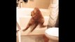 Ce chien tente de monter dans la baignoire et c'est terriblement mignon !