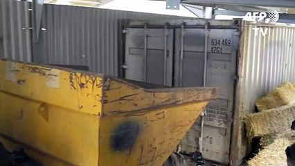 Desmantelan en España una fábrica subterránea de tabaco de contrabando