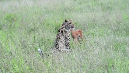 무주출장서비스 무주출장서비스O1Og2118g2518｛카톡KFC49｝ 무주출장마사지샵 무주출장안마on무주출장안마cos여3♪⇔∃마사지황형♥≗≪