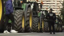 Continúa la lucha de los agricultores en las calles mientras Europa debate sus ayudas