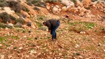 İsrail askerleri Batı Şeria'da 4 Filistinliyi yaraladı - EL