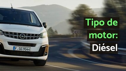 Características del Opel Zafira Life 2020 (Business S)