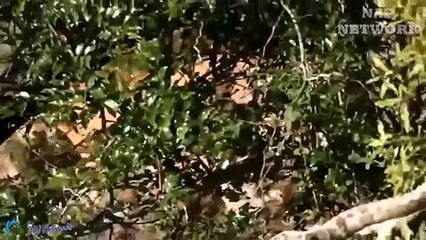 삼척출장서비스 삼척출장서비스O1Og2154g6609｛카톡LOT45｝ 삼척출장마사지샵 삼척출장안마on삼척출장안마cos여3♪⇔∃마사지황형♥∔≪