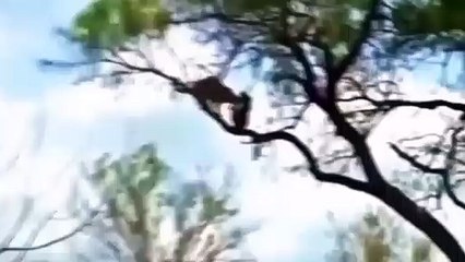 이천추천업소【OI0↔29O8↔68O③】이천추천업소예약♥∌≪