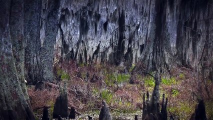 A Timeline of the Hunt for John Wilkes Booth