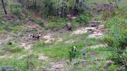 논산출장서비스 논산출장서비스O1Og4838g4959｛카톡NET47｝ 논산출장마사지샵 논산출장안마on논산출장안마cos여3♪⇔∃마사지황형♥∴≪