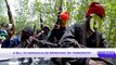 A bill to de-radicalise repentant Boko Haram terrorists?