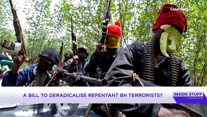 Download Video: A bill to de-radicalise repentant Boko Haram terrorists?