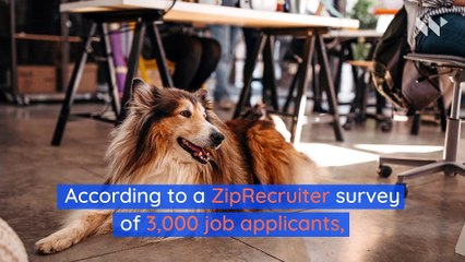 Employees Want Office Pets Over Vacation Days and Raises, Survey Says