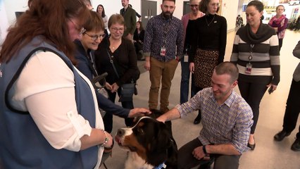 topo Zootherapie aeroport février 2020