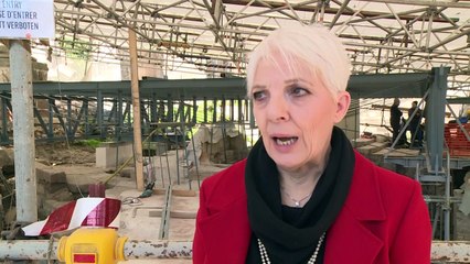 Roma vuelve a sus orígenes con el posible hallazgo de la tumba de Rómulo