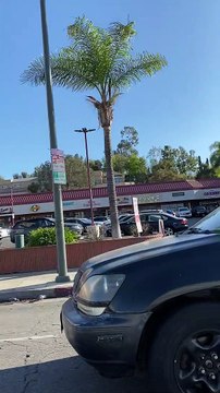 Doggo Loses Favorite Ball While Driving