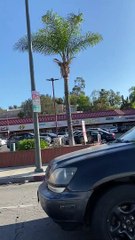 Doggo Loses Favorite Ball While Driving