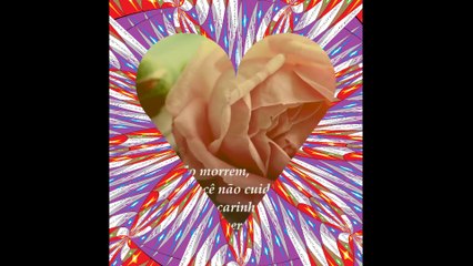 As rosas murcham quando morrem, cuide do seu amor! (Reflexão) [Frases e Poemas]
