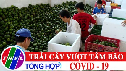 Phóng sự: Trái cây vượt tâm bão COVID-19