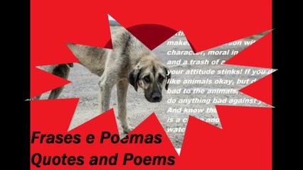 Hitting on an animal, makes you a person without character, trash of human being! [Quotes and Poems]