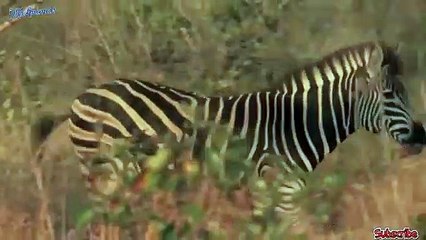 신촌출장서비스 신촌출장서비스O1Og2154g6609｛카톡LOT45｝ 신촌출장마사지샵 신촌출장안마on신촌출장안마cos여3♪⇔∃마사지황형♥≚≪