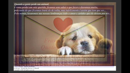 Quando a gente perde um animal, é como perder um ente querido, choramos muito... [Frases e Poemas]
