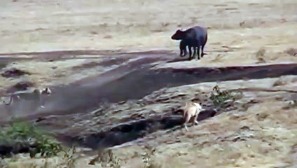 월곶출장서비스 월곶출장서비스O1Og4832g2166｛카톡QQ565｝ 월곶출장마사지샵 월곶출장안마on월곶출장안마cos여3♪⇔∃마사지황형♥∶≪