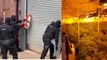 Northumbria POLICE found CANNABIS FARM the size of a football pitch |Cannabis farm 'the size of a football pitch' sniffed out by funfair cop