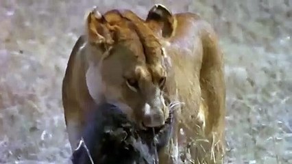 장수추천업소【OI0↔29O8↔68O③】장수추천업소예약♥◟≪