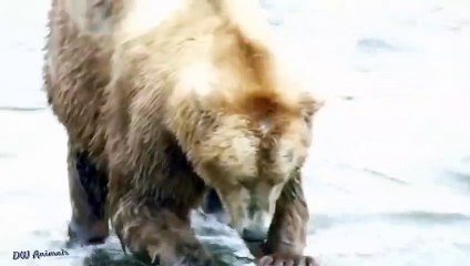 울주출장서비스 울주출장서비스O1OE2104E4640｛카톡GDS25｝ 울주출장마사지샵 울주출장안마on울주출장안마cos여3♪⇔∃마사지황형♥∞≪