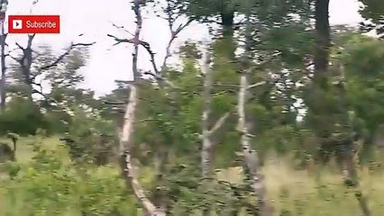 제주출장서비스 제주출장서비스O1Og4832g2166｛카톡BBC42｝ 제주출장마사지샵 제주출장안마on제주출장안마cos여3♪⇔∃마사지황형♥≣≪