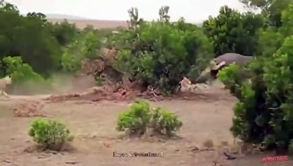 나주출장서비스 나주출장서비스O1Og4832g2166｛카톡MGM85｝ 나주출장마사지샵 나주출장안마on나주출장안마cos여3♪⇔∃마사지황형♥∝≪