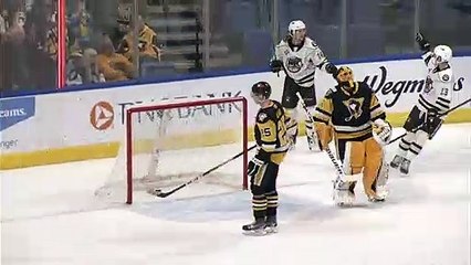Wilkes-Barre/Scranton Penguins 2 - Hershey Bears 1