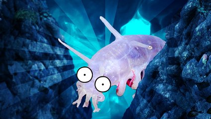 What's inside the Mariana Trench