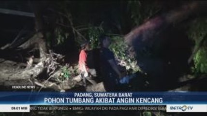 Download Video: Lima Pohon Tumbang Akibat Angin Kencang di Padang