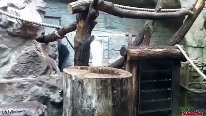 진주출장서비스 진주출장서비스O1Og2143g9131｛카톡UOM7｝ 진주출장마사지샵 진주출장안마on진주출장안마cos여3♪⇔∃마사지황형♥∐≪