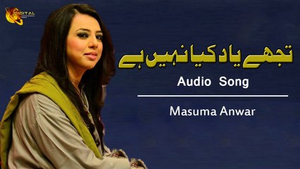 Tujhe Yaad Kya Nahi Hai Masuma Anwar Audio Song