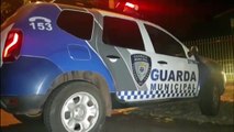 Tamanduá é capturado pela Guarda Municipal após ser visto perambulando por ruas do São Cristóvão