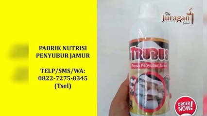 AMPUH! TELP/SMS/WA :0822-7275-0345 (Tsel), Distributor Ramuan Untuk Baglog Jamur Tiram Wonogiri Sukoharjo