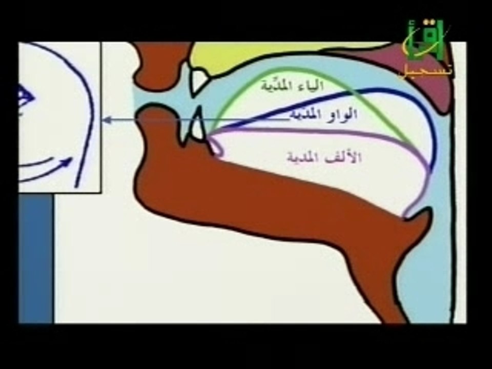 Tajwid 061 مخرج الجوف