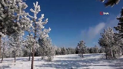 Çıldır’da doyumsuz kar manzarası