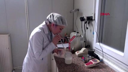 Ankara yoğurt ve tereyağına mahkum eli değdi