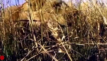 삼양출장서비스 삼양출장서비스O1OE6579E3382｛카톡RMB7｝ 삼양출장마사지샵 삼양출장안마on삼양출장안마cos여3♪⇔∃마사지황형♥≡≪