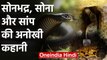 Uttar Pradesh के Sonbhadra में Gold की खदान के पास है जहरीले Snakes का बसेरा |वनइंडिया हिंदी