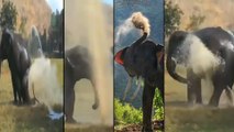 Viral Video : Elephant Taking Fountain Water Bath | It's Bathing Time
