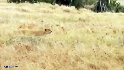 노원출장서비스 노원출장서비스O1OE2908E6803｛카톡ABC23｝ 노원출장마사지샵 노원출장안마on노원출장안마cos여3♪⇔∃마사지황형♥≹≪