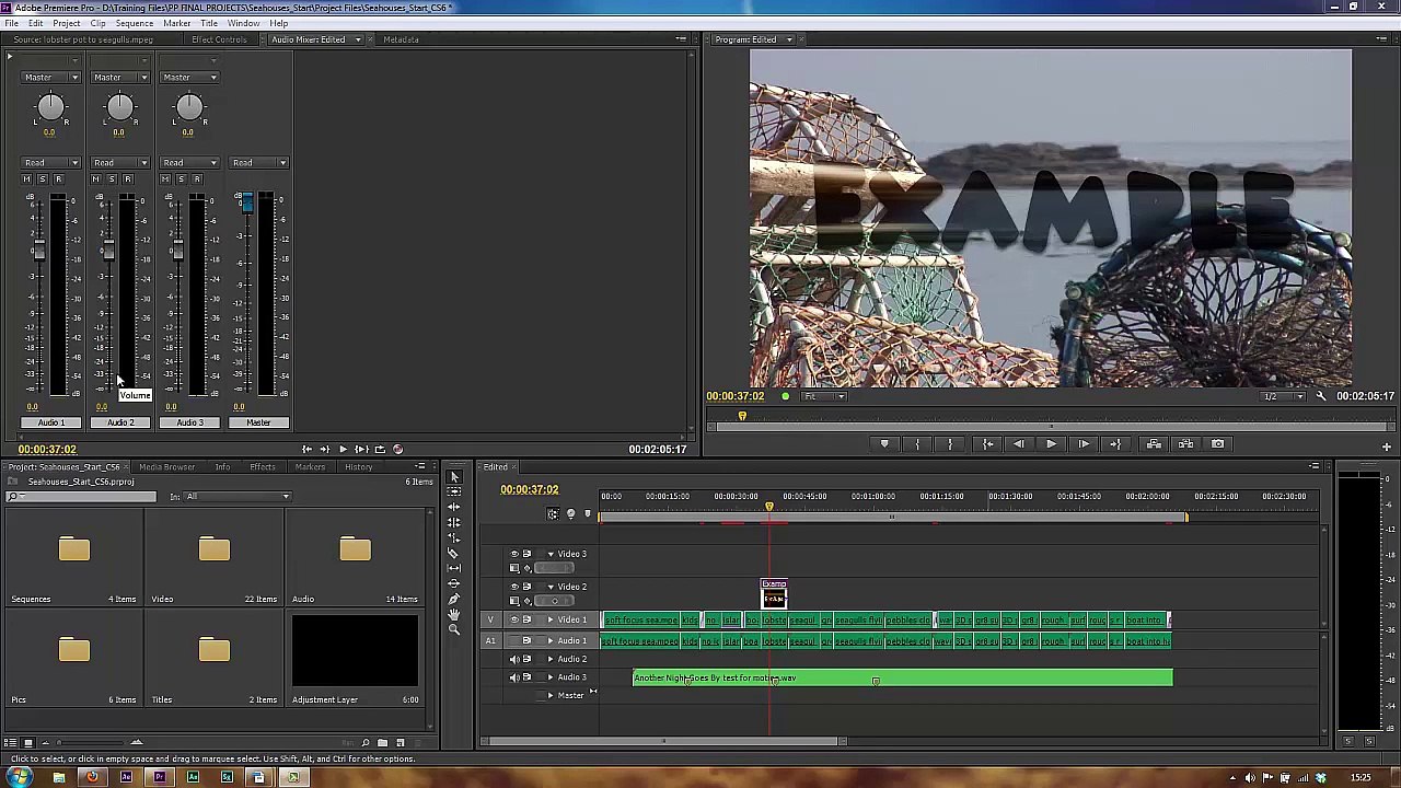 Premiere Pro CS6 71 Audio Track Types