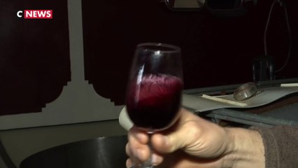 Agriculture : déjà vigneron, il devient également éleveur de brebis