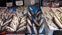 Trabzon karadeniz'de palamut diye satılan balık tombik çıktı