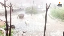 पन्ना, सतना और रीवा में गिरे ओले; कटनी में बिजली गिरने से एक की मौत, मौसम विभाग ने जारी किया यलो अलर्ट